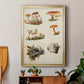 Mushroom Species X - Modern Framed Canvas Print