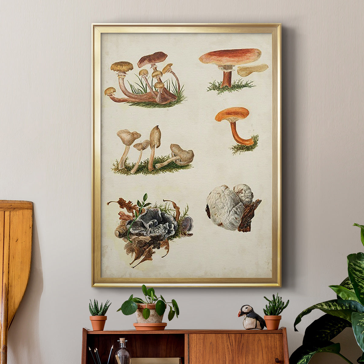 Mushroom Species X - Modern Framed Canvas Print