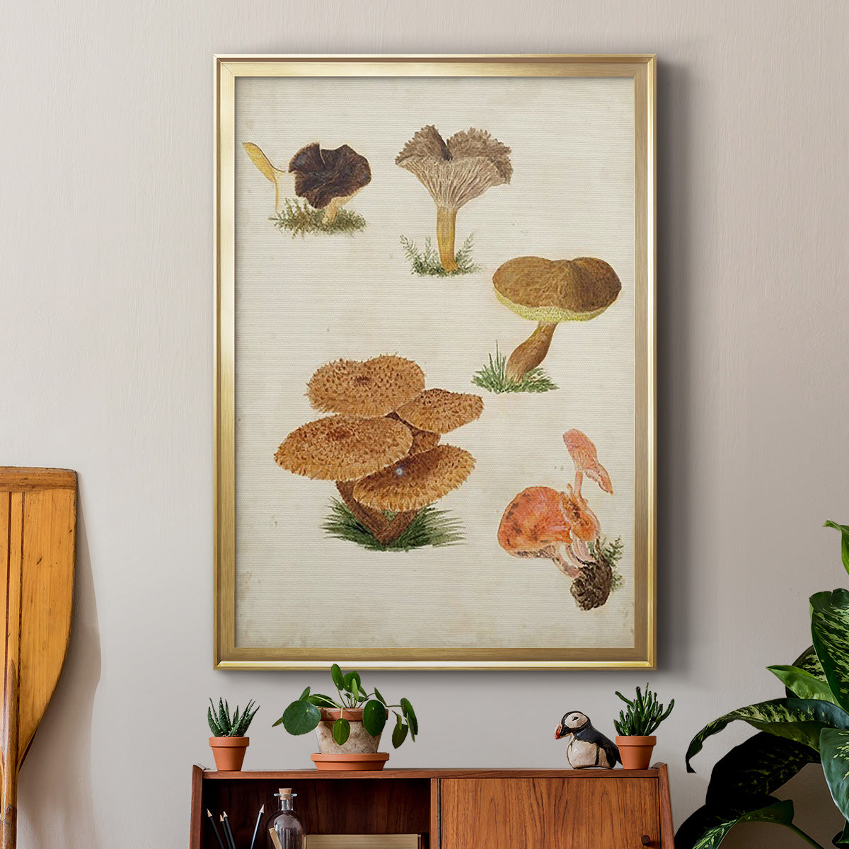 Mushroom Species V - Modern Framed Canvas Print