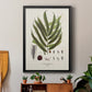 Botanical Society Ferns II - Modern Framed Canvas Print