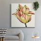 Tulip Garden III - Canvas Art Print