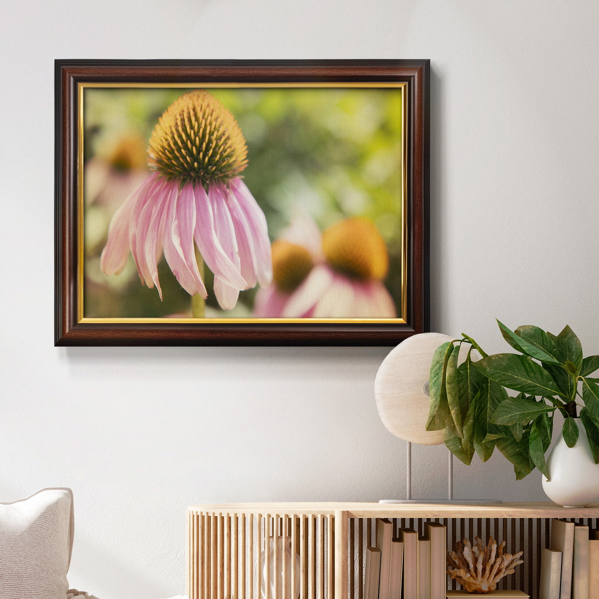 Echinacea Study II Premium Framed Canvas- Ready to Hang