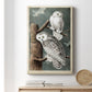 Audubons Snowy Owl Premium Gallery Wrapped Canvas - Ready to Hang