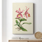 Pink Cattleya Orchid Premium Gallery Wrapped Canvas - Ready to Hang