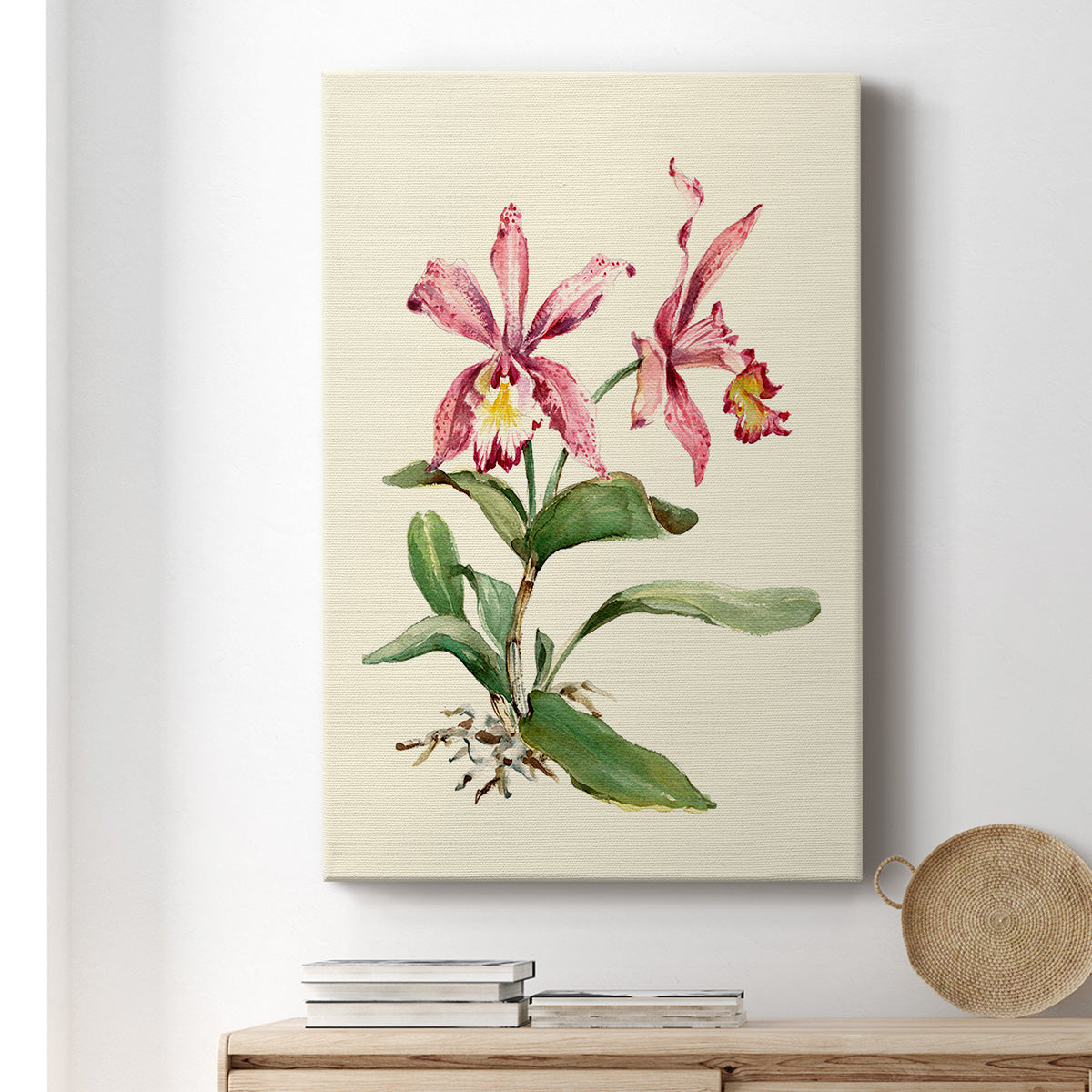 Pink Cattleya Orchid Premium Gallery Wrapped Canvas - Ready to Hang