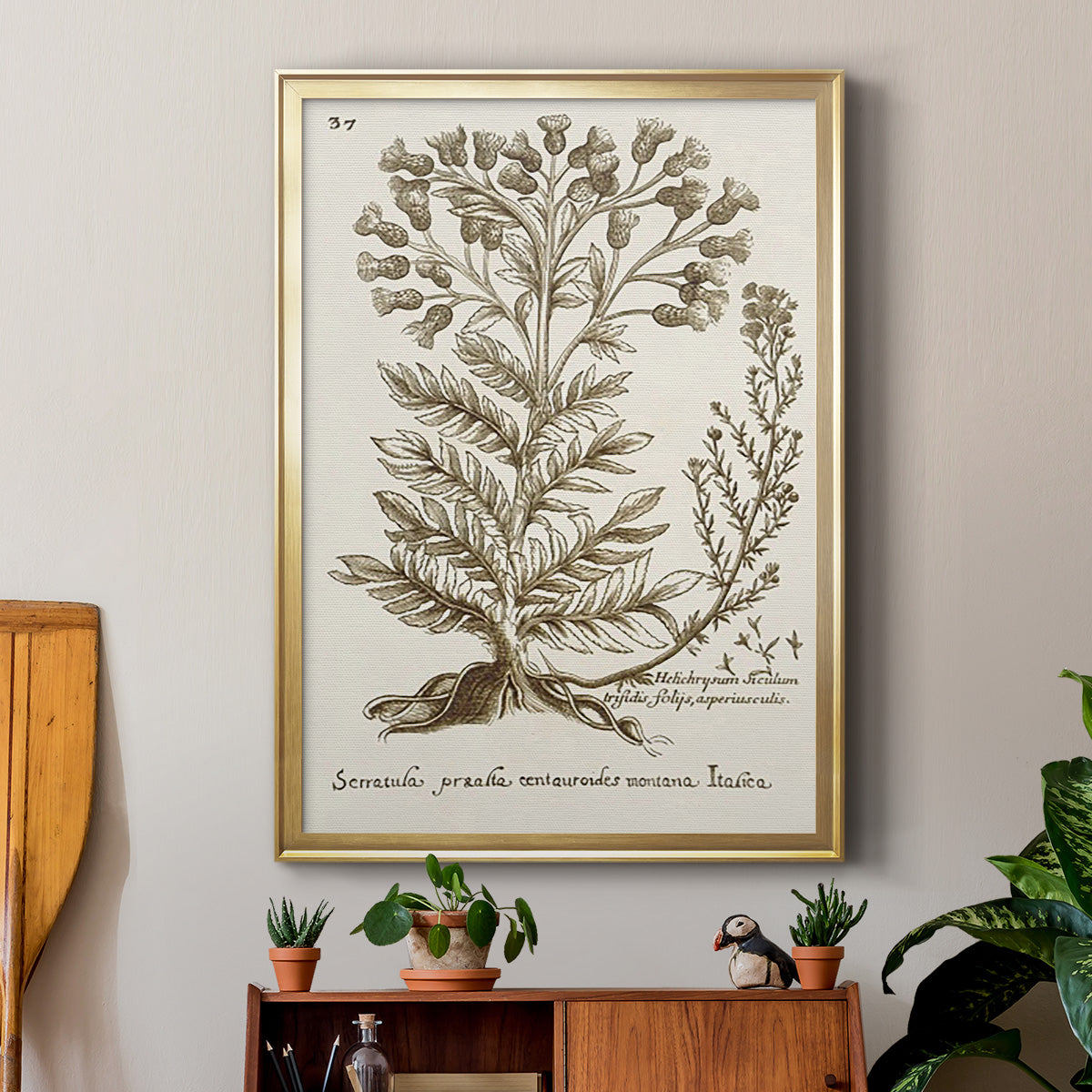 Sepia Botanical Journal I - Modern Framed Canvas Print