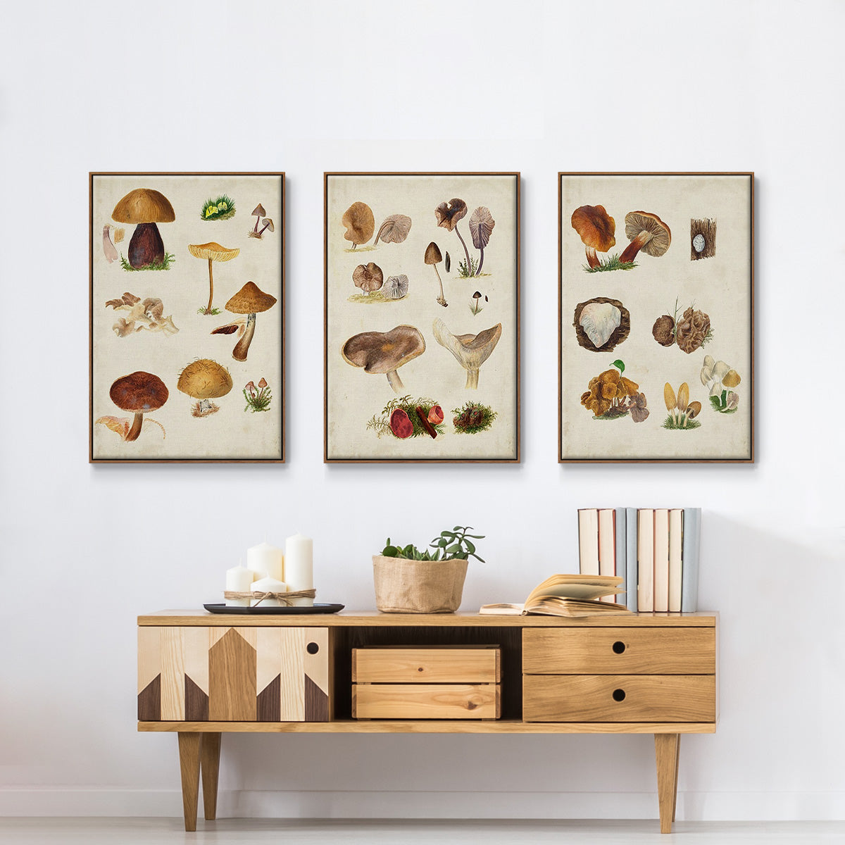 Mushroom Species I - Framed Premium Gallery Wrapped Canvas L Frame 3 Piece Set - Ready to Hang