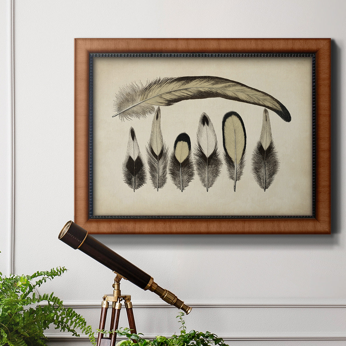 Vintage Feathers VII Premium Framed Canvas- Ready to Hang