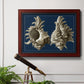 Conch Shells on Navy II Premium Framed Canvas- Ready to Hang