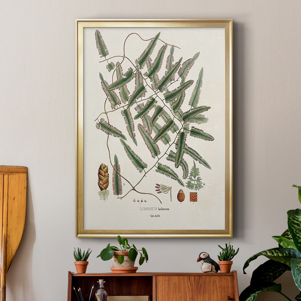 Botanical Society Ferns X - Modern Framed Canvas Print