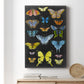 Graphic Butterfly Taxonomy II Premium Gallery Wrapped Canvas - Ready to Hang