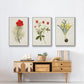 Flowers of the Seasons VI - Framed Premium Gallery Wrapped Canvas L Frame 3 Piece Set - Ready to Hang