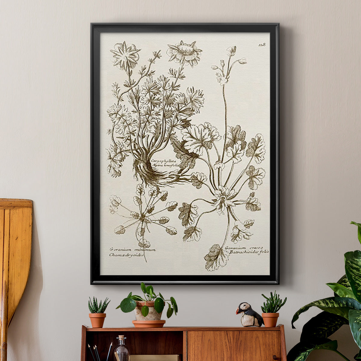 Sepia Botanical Journal IX - Modern Framed Canvas Print