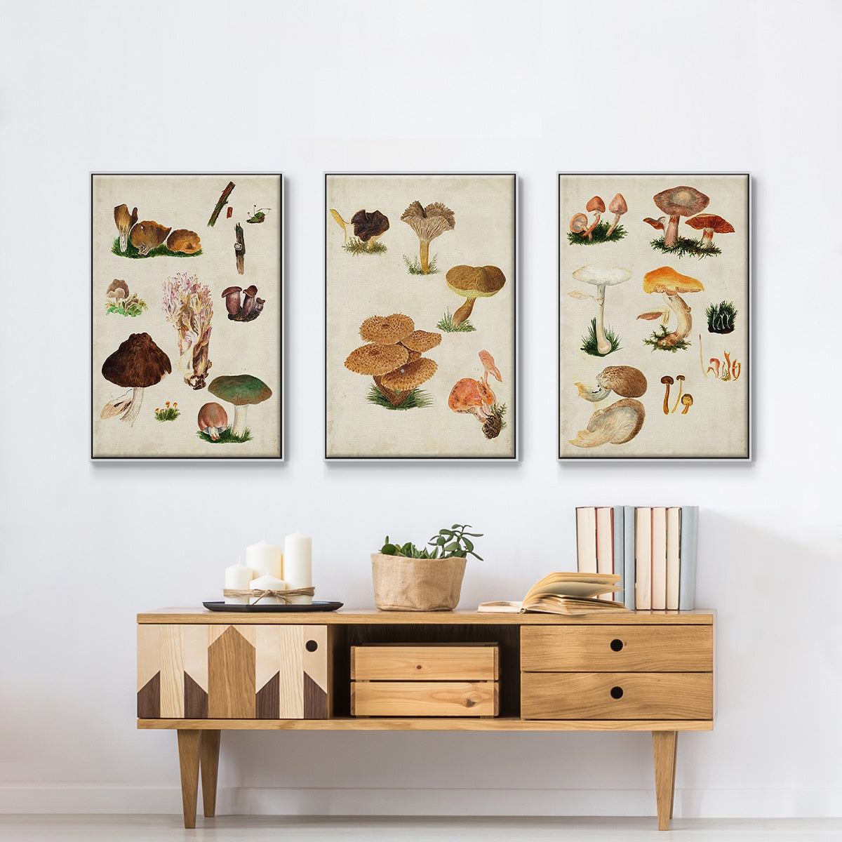 Mushroom Species IV - Framed Premium Gallery Wrapped Canvas L Frame 3 Piece Set - Ready to Hang