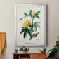 Turpin Tropical Botanicals VI - Modern Framed Canvas Print