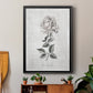 Vintage Botanical II - Modern Framed Canvas Print