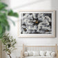 Peonia - Barnwood Framed Art Print