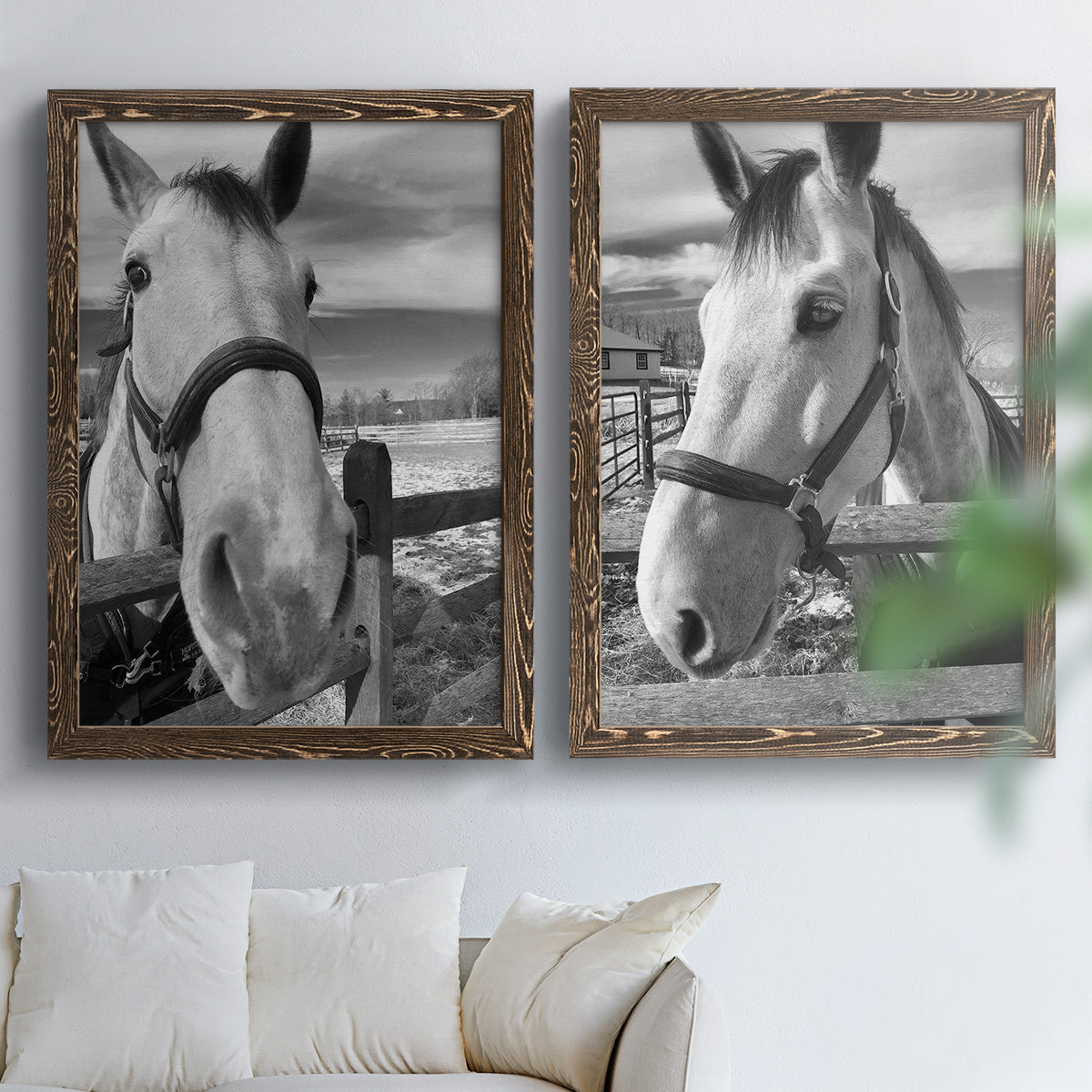 Set of two walnut barnwood framed canvas prints depicting bridled faces, wooden rails, and softly blurred farm backgrounds arranged across two complementary compositions above a sofa in a bright living space.