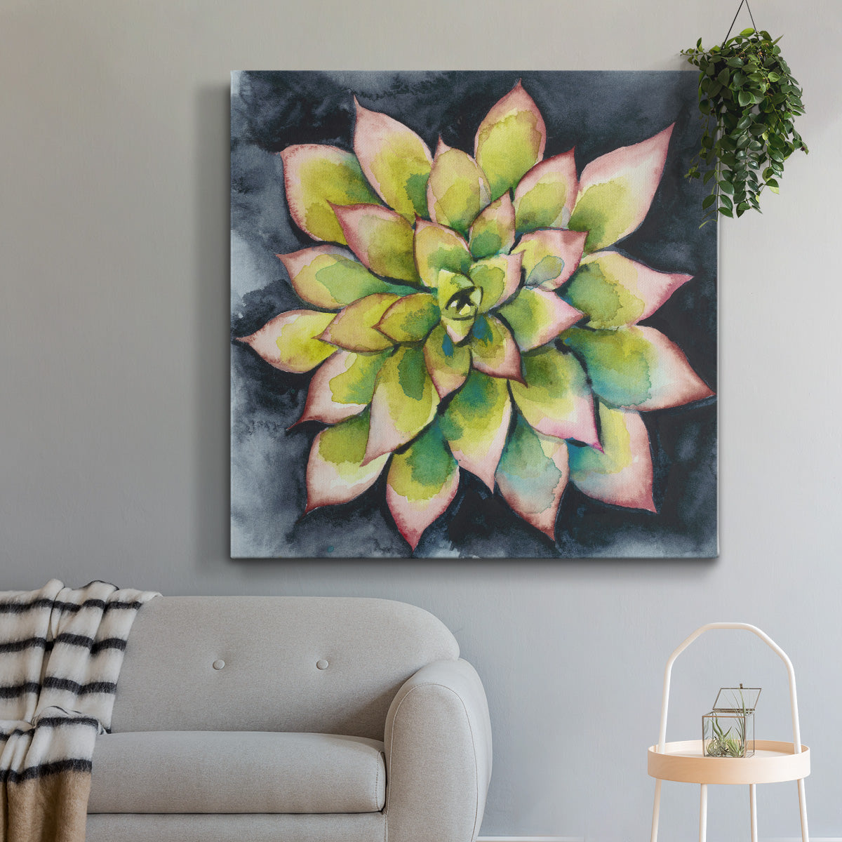 Succulent Rosette IV - Canvas Art Print