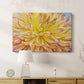 Blooms III - Canvas Art Print