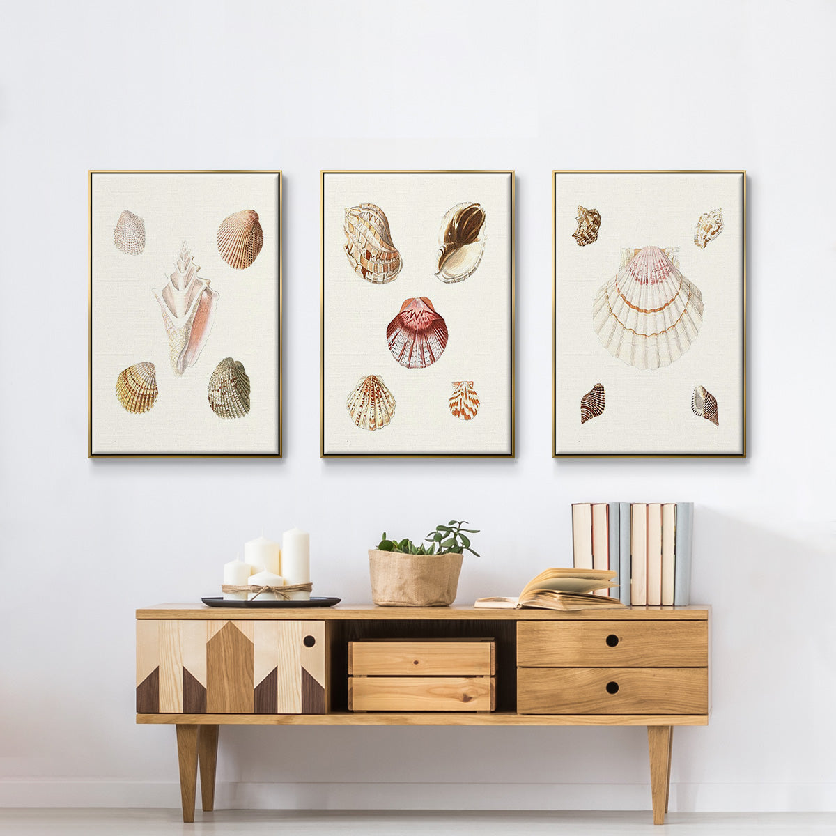 Pastel Knorr Shells I - Framed Premium Gallery Wrapped Canvas L Frame 3 Piece Set - Ready to Hang