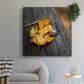 Snail's Pace - Canvas Art Print