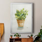 Succulent I - Modern Framed Canvas Print