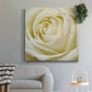 Wall Flower III-Premium Gallery Wrapped Canvas - Ready to Hang