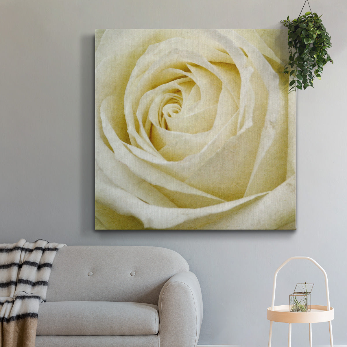 Wall Flower III-Premium Gallery Wrapped Canvas - Ready to Hang