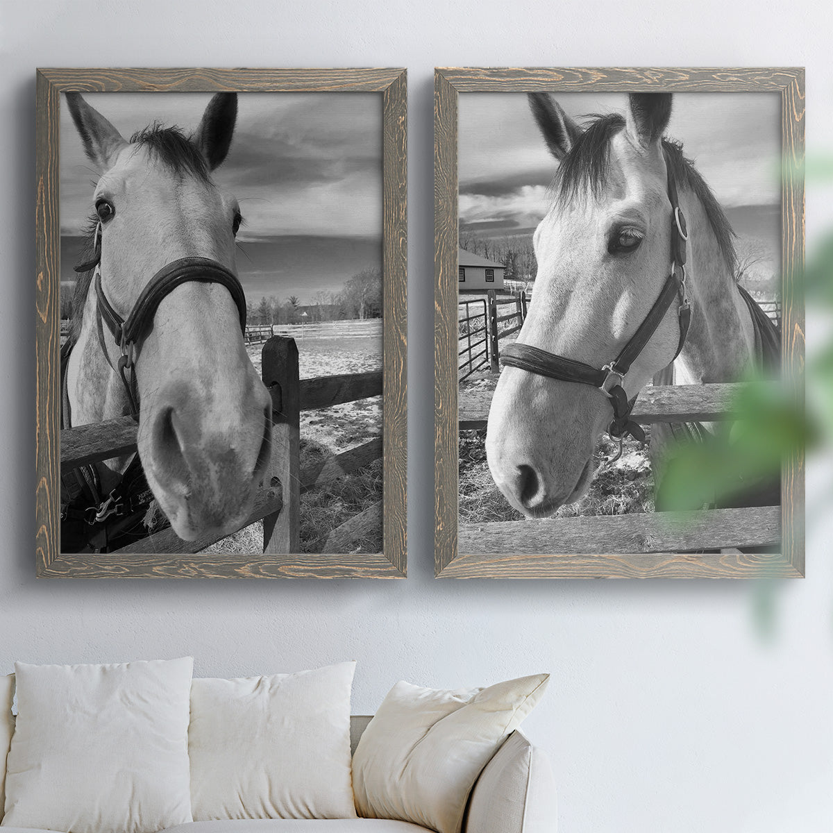 Set of two gray barnwood framed canvas prints depicting bridled faces, wooden rails, and softly blurred farm backgrounds arranged across two complementary compositions above a sofa in a bright living space.