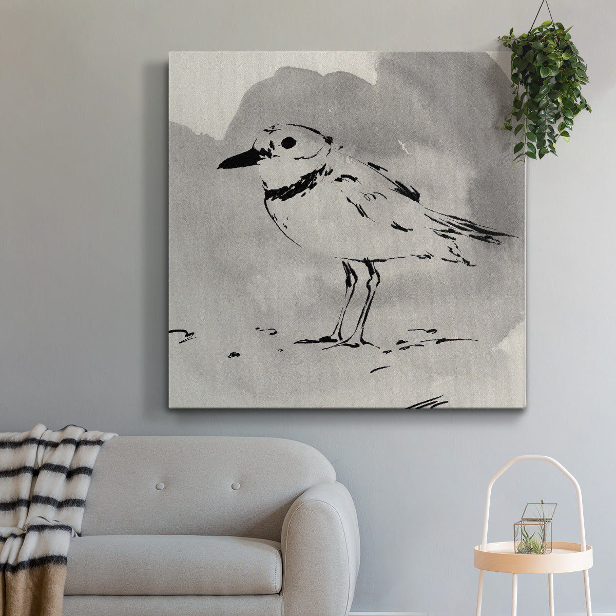 Inky Plover II - Canvas Art Print