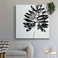 Monochrome Tropic III - Canvas Art Print