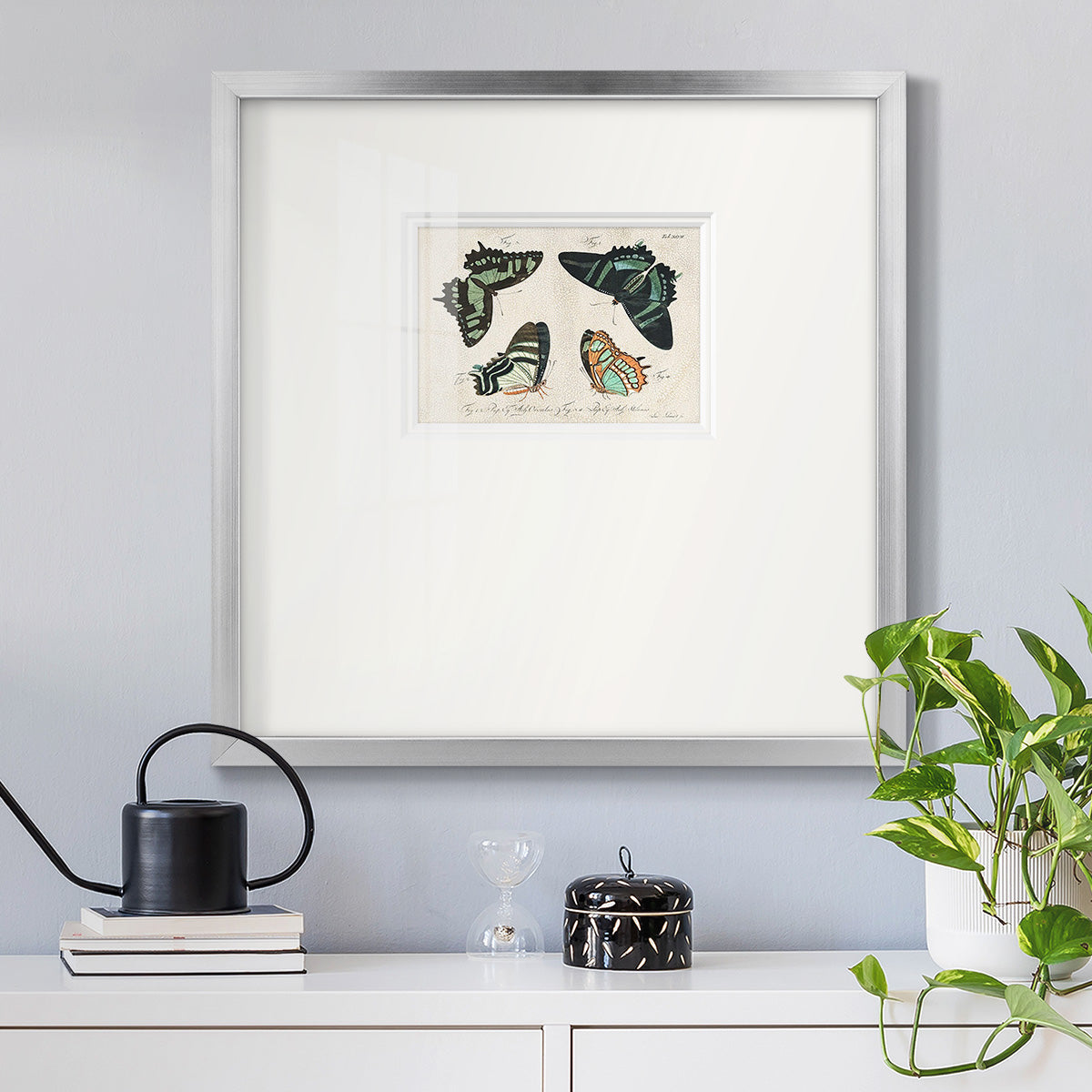 Crackled Butterflies III Premium Framed Print Double Matboard