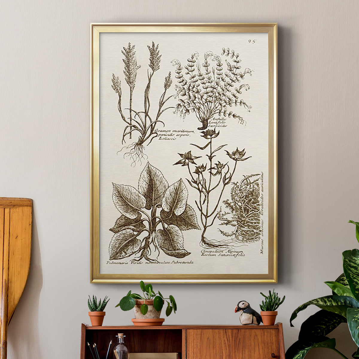 Sepia Botanical Journal VII - Modern Framed Canvas Print