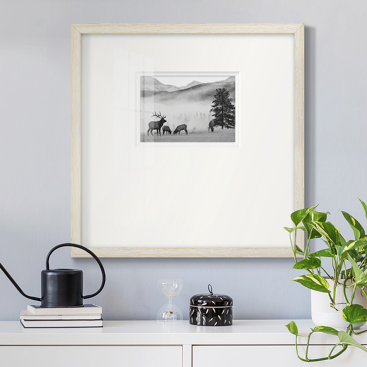 Mountain Elk Premium Framed Print Double Matboard