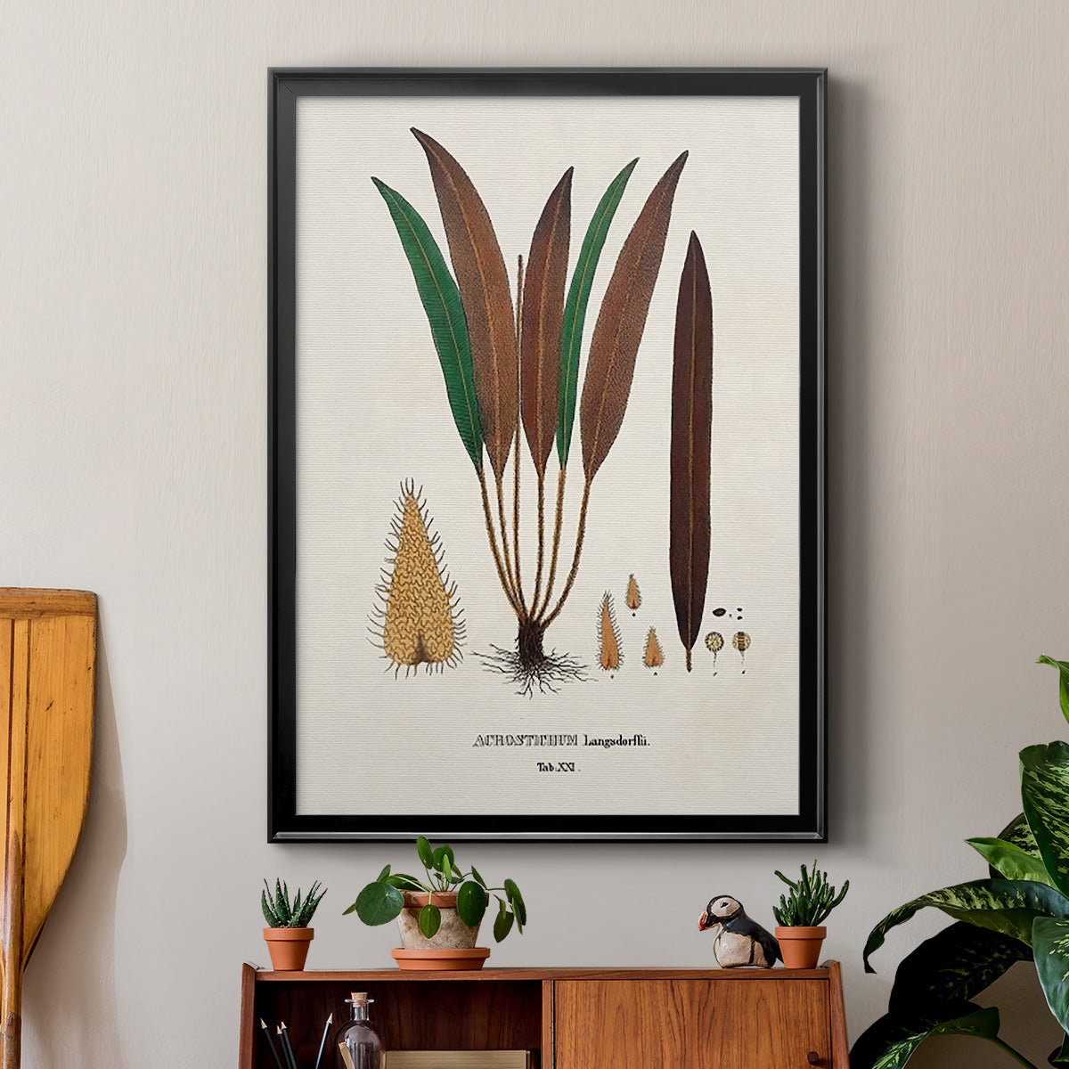 Botanical Society Ferns I - Modern Framed Canvas Print