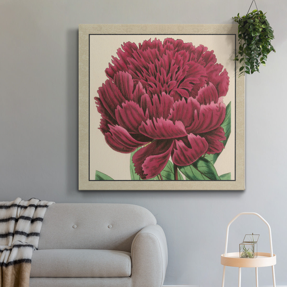 Peony Collection V - Canvas Art Print