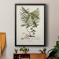 Botanical Society Ferns VI - Modern Framed Canvas Print