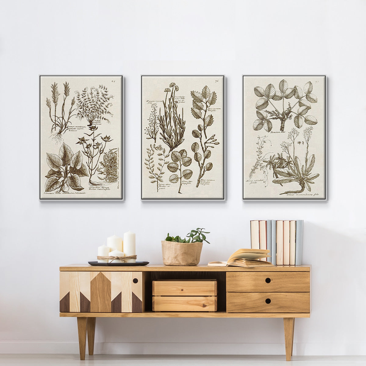 Sepia Botanical Journal VI - Framed Premium Gallery Wrapped Canvas L Frame 3 Piece Set - Ready to Hang