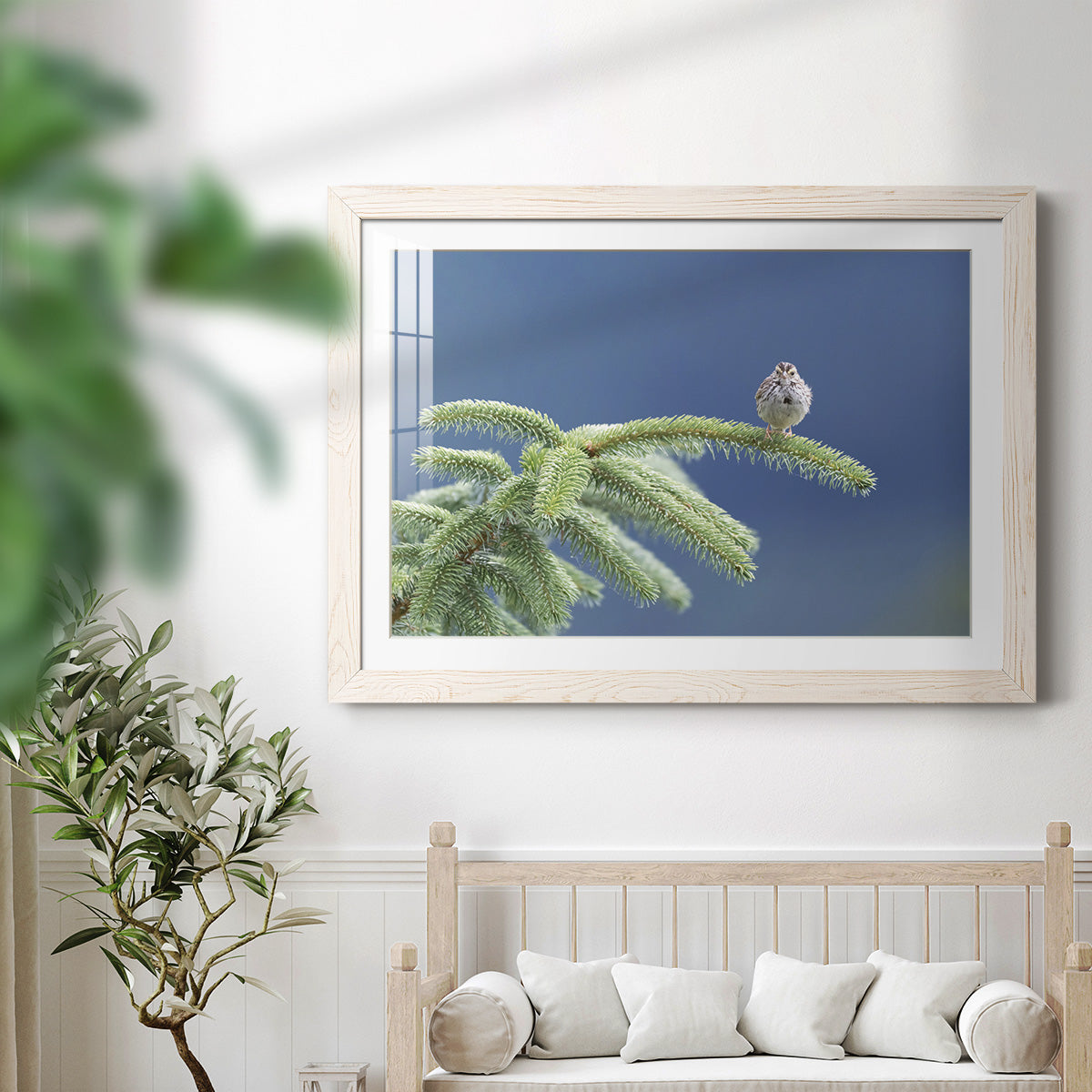 Evergreen Perch - Barnwood Framed Art Print