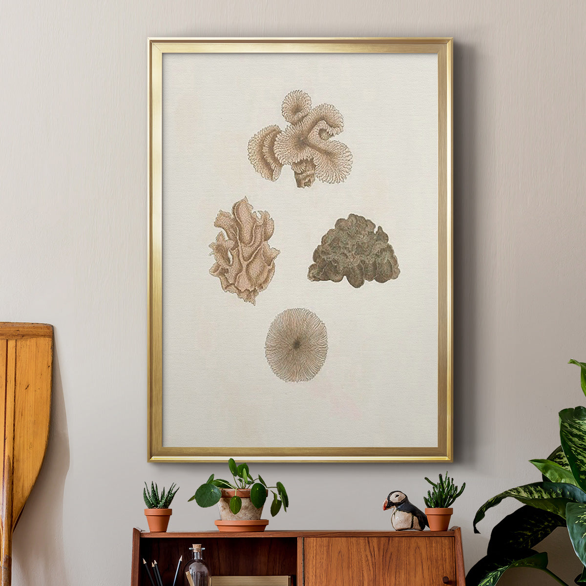 Knorr Shells & Coral VIII - Modern Framed Canvas Print