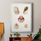 Pastel Knorr Shells V - Modern Framed Canvas Print