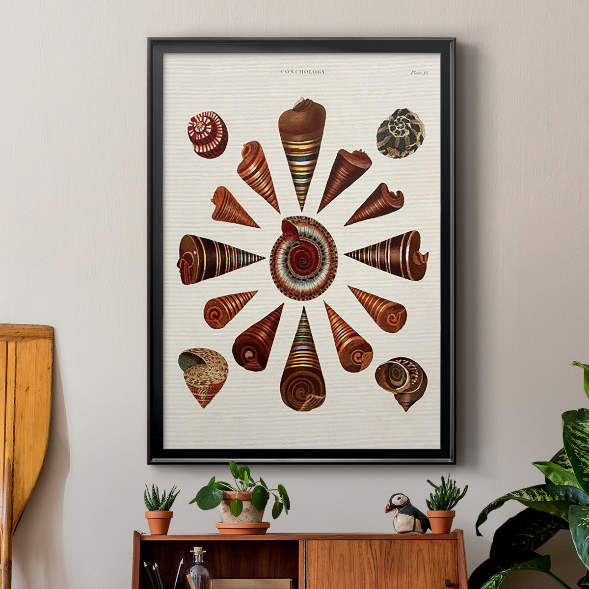 Spiral Shell Formation IV - Modern Framed Canvas Print