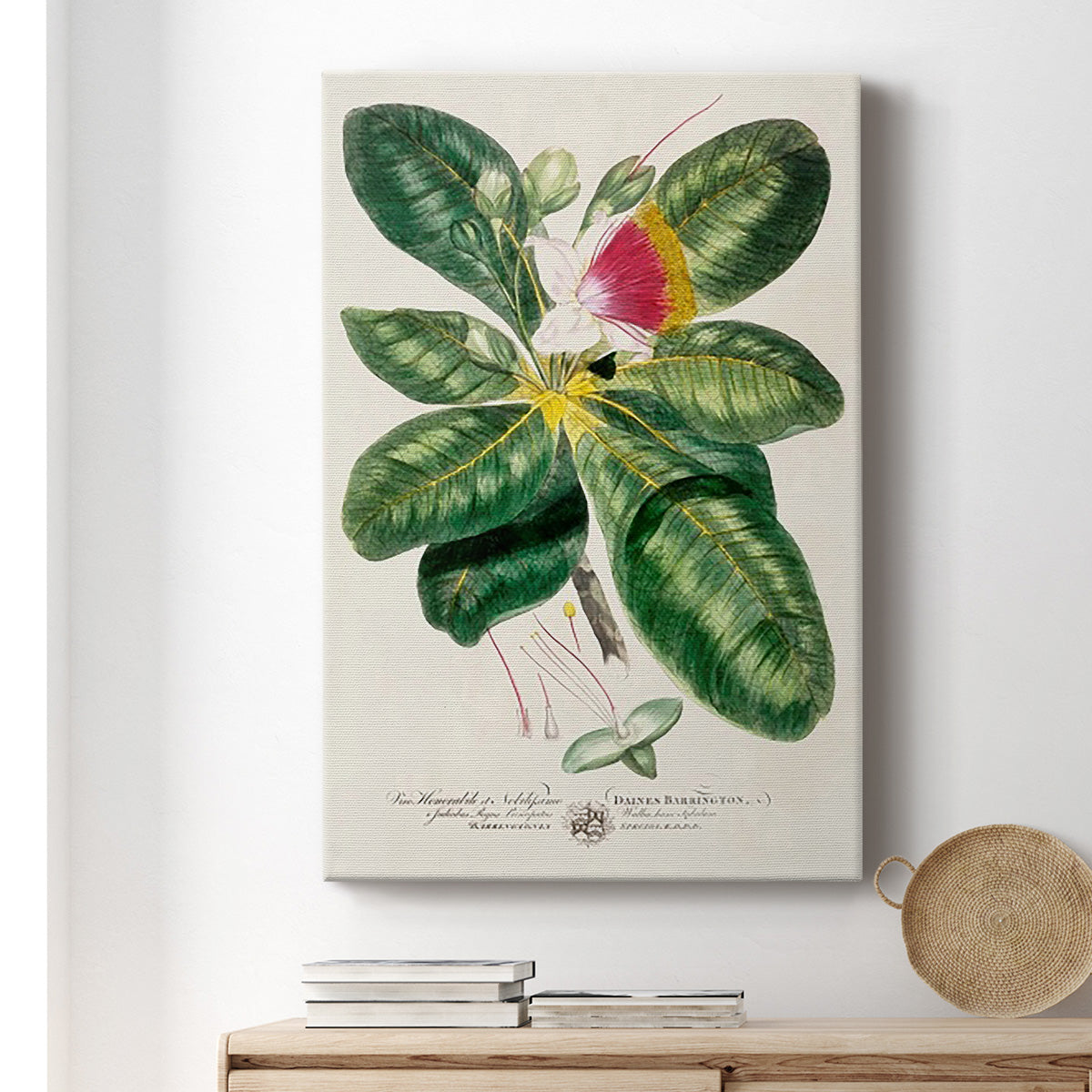 Imperial Tropical Botanical I Premium Gallery Wrapped Canvas - Ready to Hang