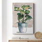 Potted Houseplant II - Canvas Art Print