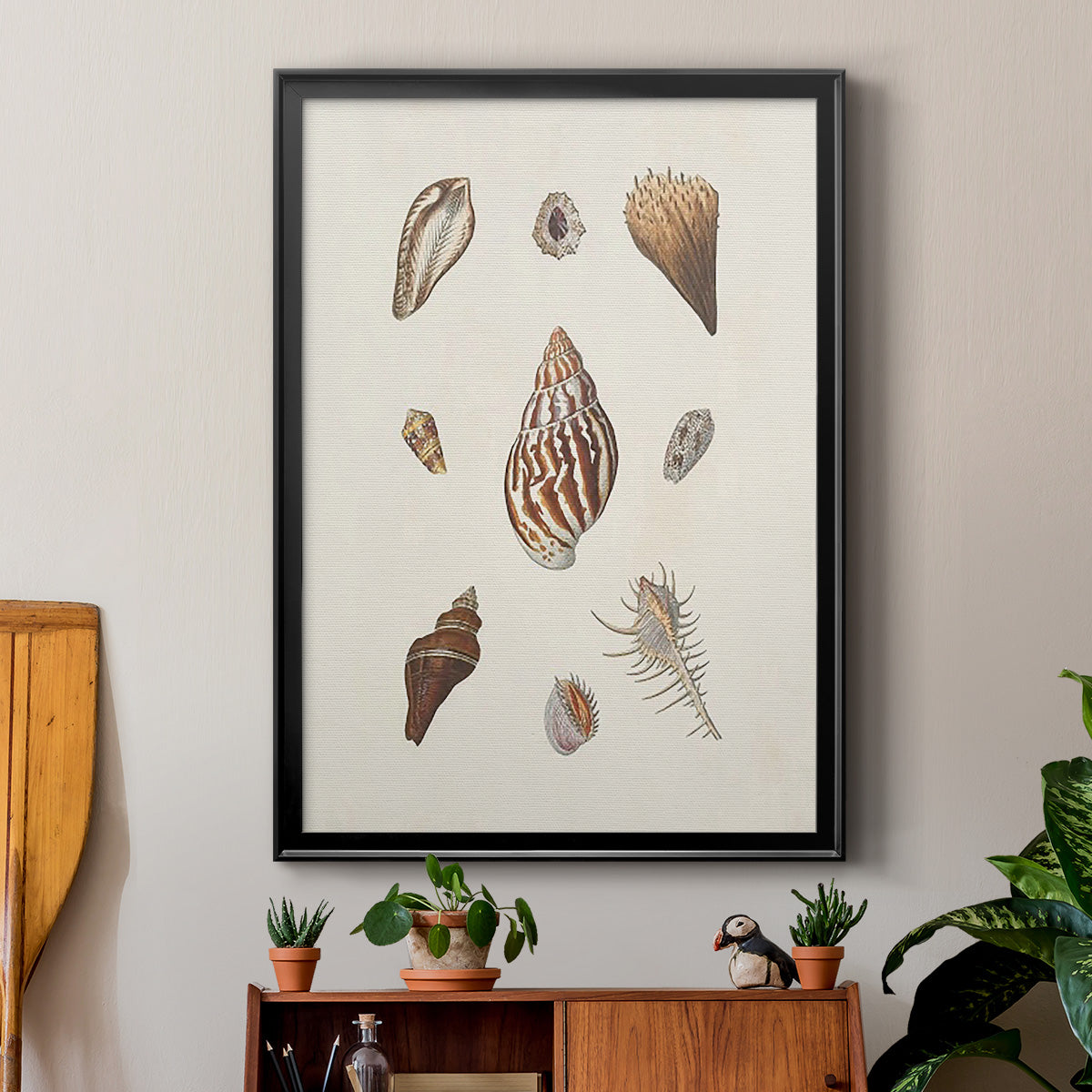 Knorr Shells & Coral IX - Modern Framed Canvas Print
