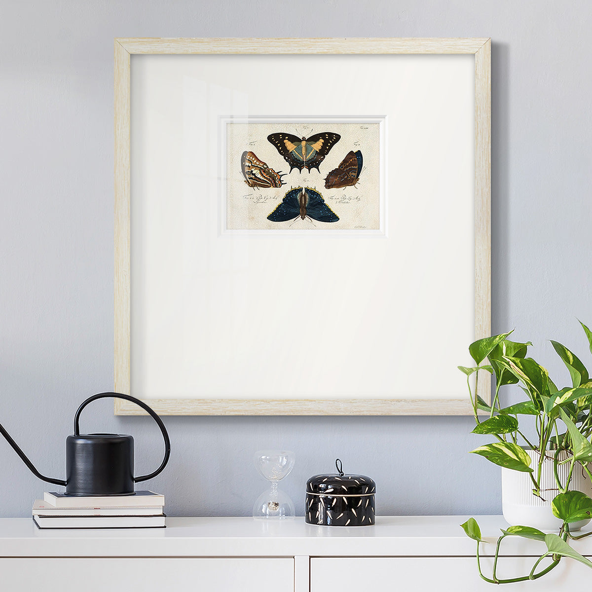 Crackled Butterflies IV Premium Framed Print Double Matboard