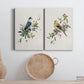 Spring Song Gray Jay Premium Gallery Wrapped Canvas - Ready to Hang - Set of 2 - 8 x 12 Each