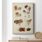 Mushroom Species III - Canvas Art Print