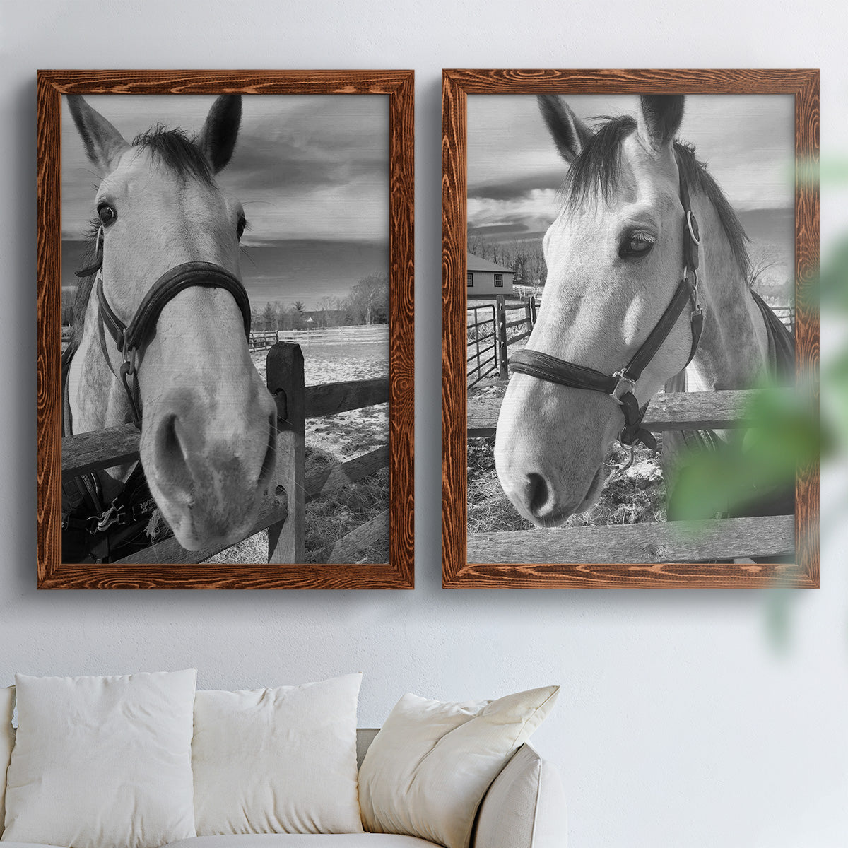 Set of two maple barnwood framed canvas prints depicting bridled faces, wooden rails, and softly blurred farm backgrounds arranged across two complementary compositions above a sofa in a bright living space.